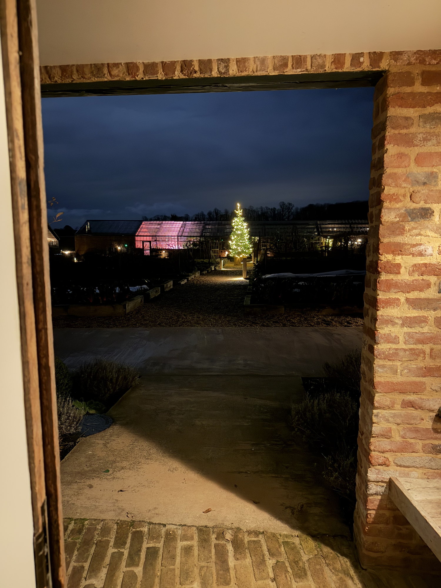 Looking out from the cabin doorway at dusk